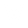Logo Vize System
